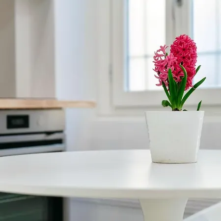 Hostini Como- Downtown Apartament *